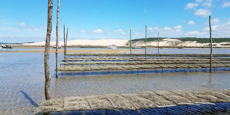 Météo marine Gironde